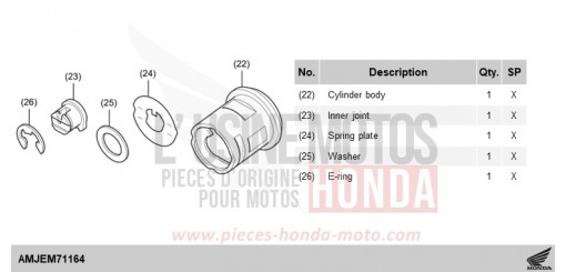 ELEMENT RETROVISEUR NT1100AS de 2025